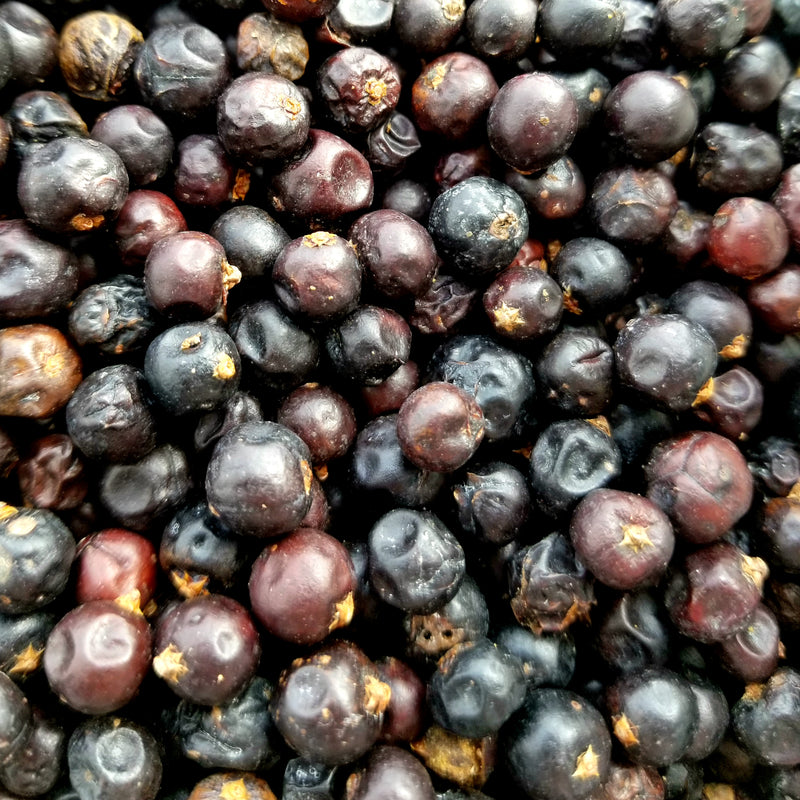 Organic Whole Dried Juniper Berries